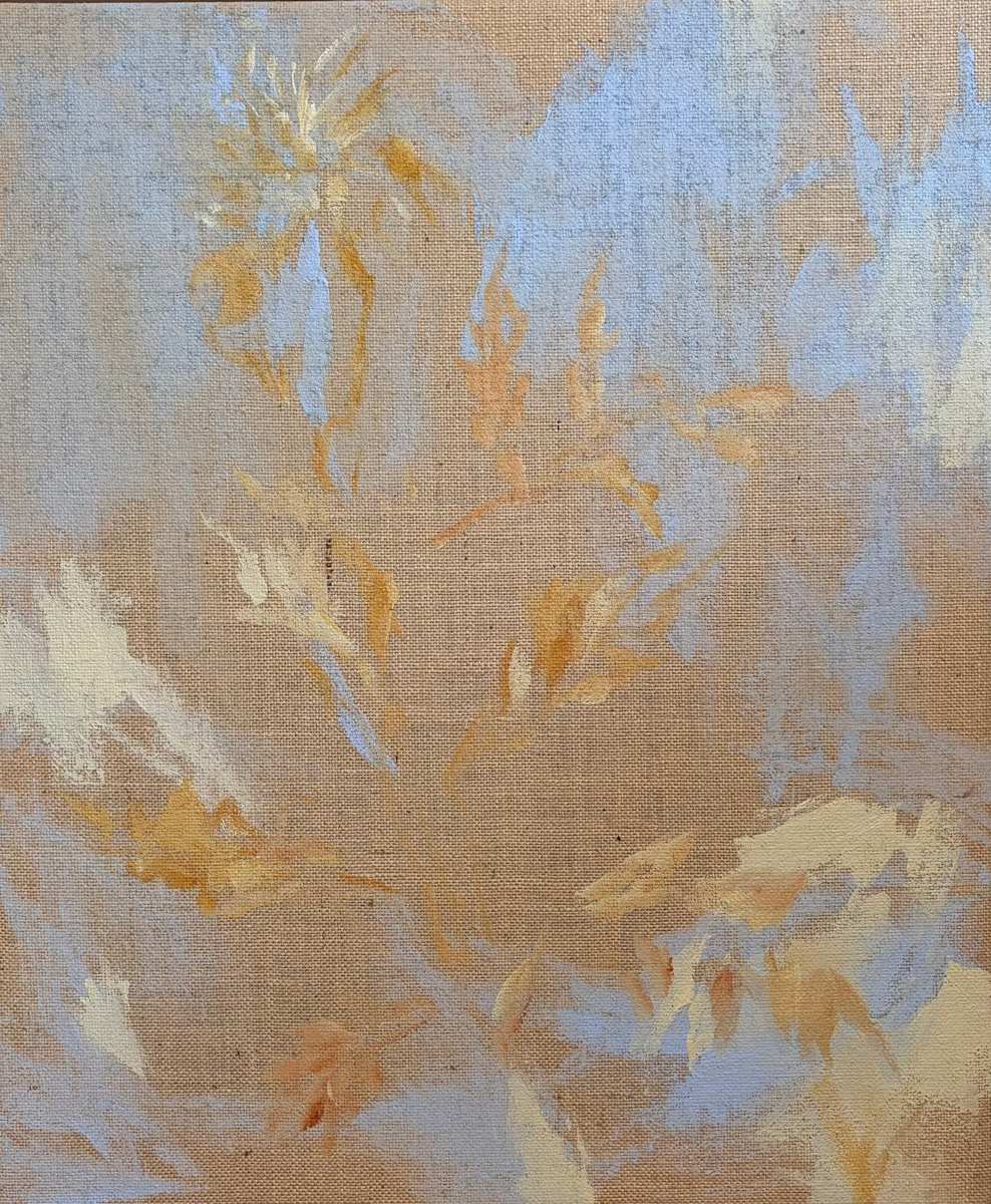 Morgenlicht by Astrid Steingrueber, Image 1.