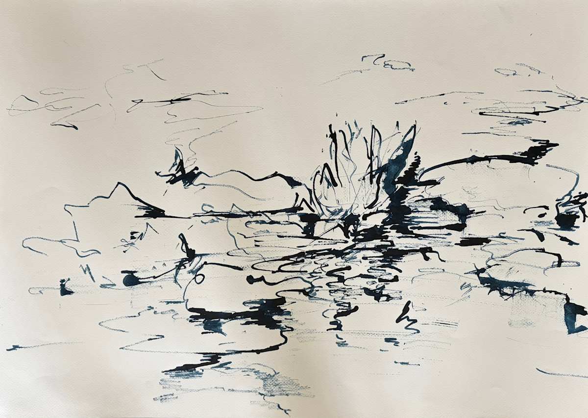 Nymphaea III by Astrid Steingrueber, Image 1.