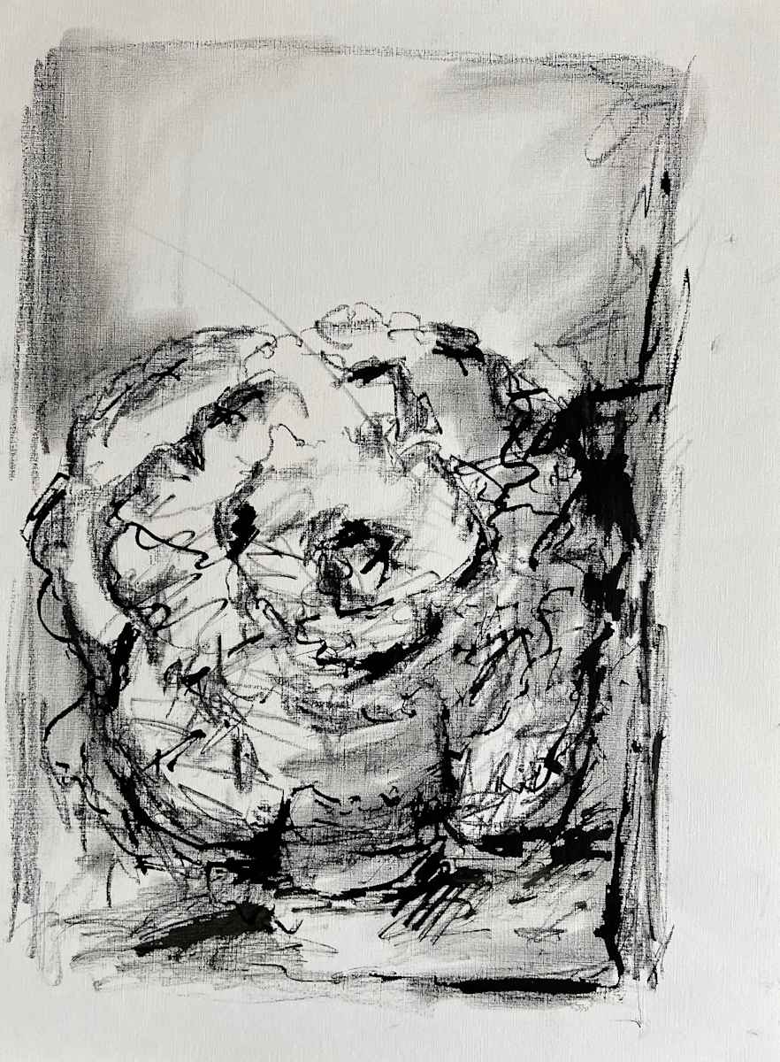 Cabbage #2 by Astrid Steingrueber 