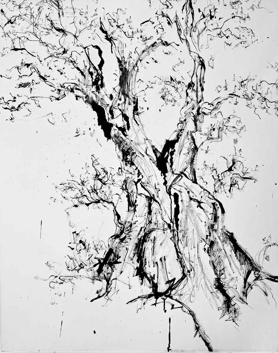 Puglia by Astrid Steingrueber, Image 1.