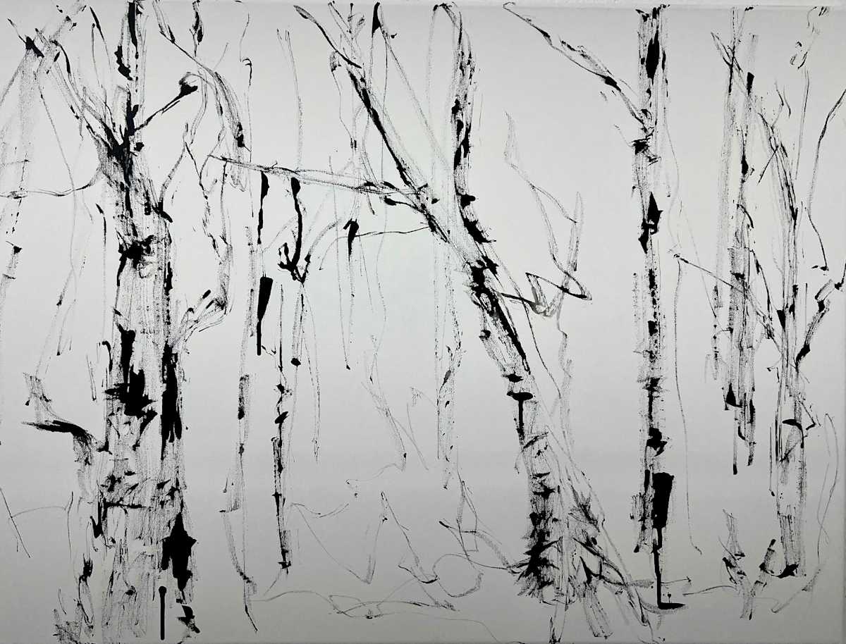 Birch Trees by Astrid Steingrueber, Image 1.