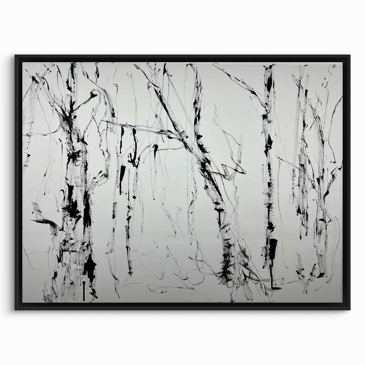 Birch Trees by Astrid Steingrueber 