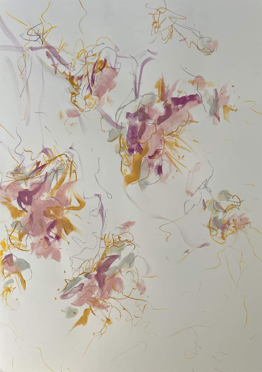 Pink Roselies No2 by Astrid Steingrueber 