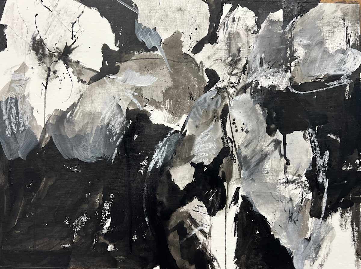 Noir Gardens by Astrid Steingrueber 