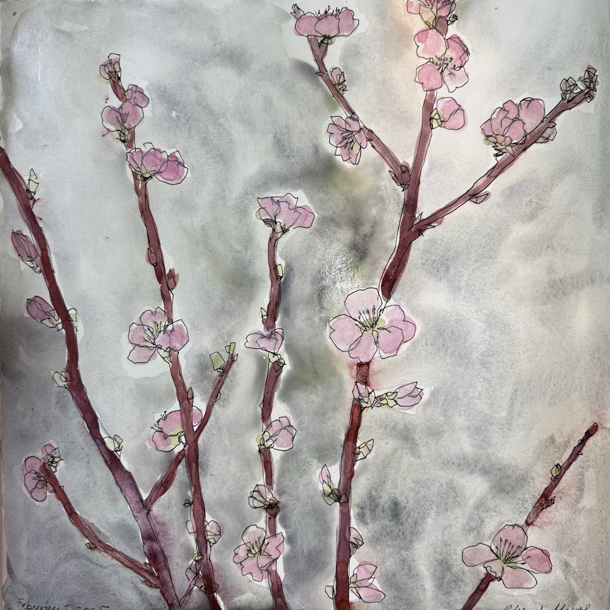 Spring Blossoms, February 2, 2025 by Rhonda Young, Image 1.