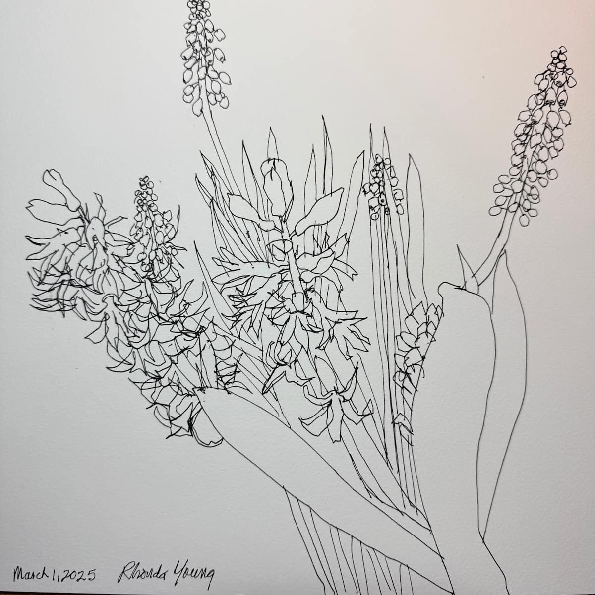 Spring Bulbs, March 2, 2025 by Rhonda Young 