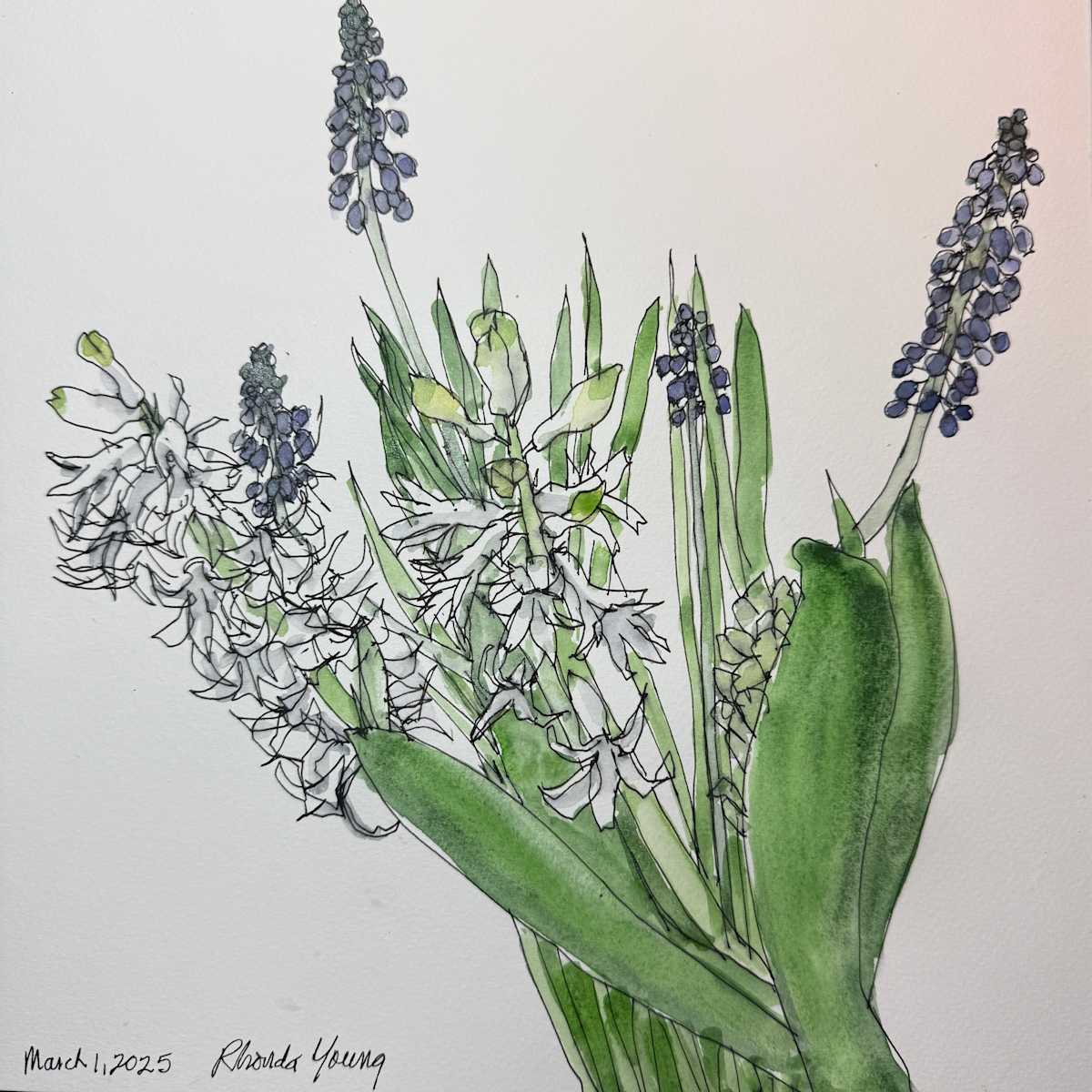 Spring Bulbs, March 1, 2025 by Rhonda Young, Image 1.