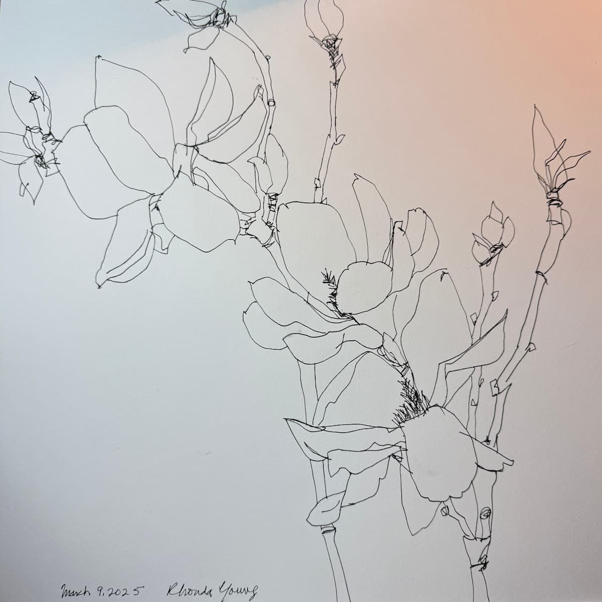 Magnolia Branch, March 9, 2025 by Rhonda Young, Image 1.