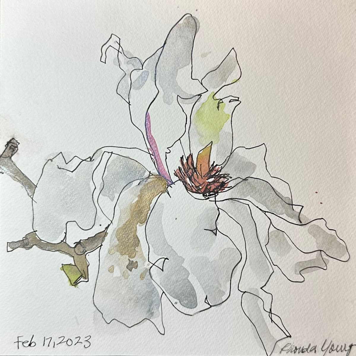 White Magnolia, February 17, 2023 by Rhonda Young, Image 1.
