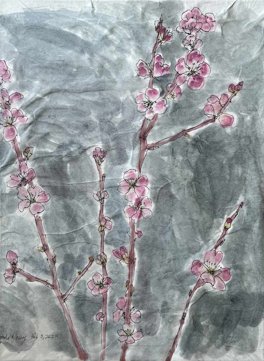 Pink Blossoms, February 3, 2025 by Rhonda Young, Image 1.