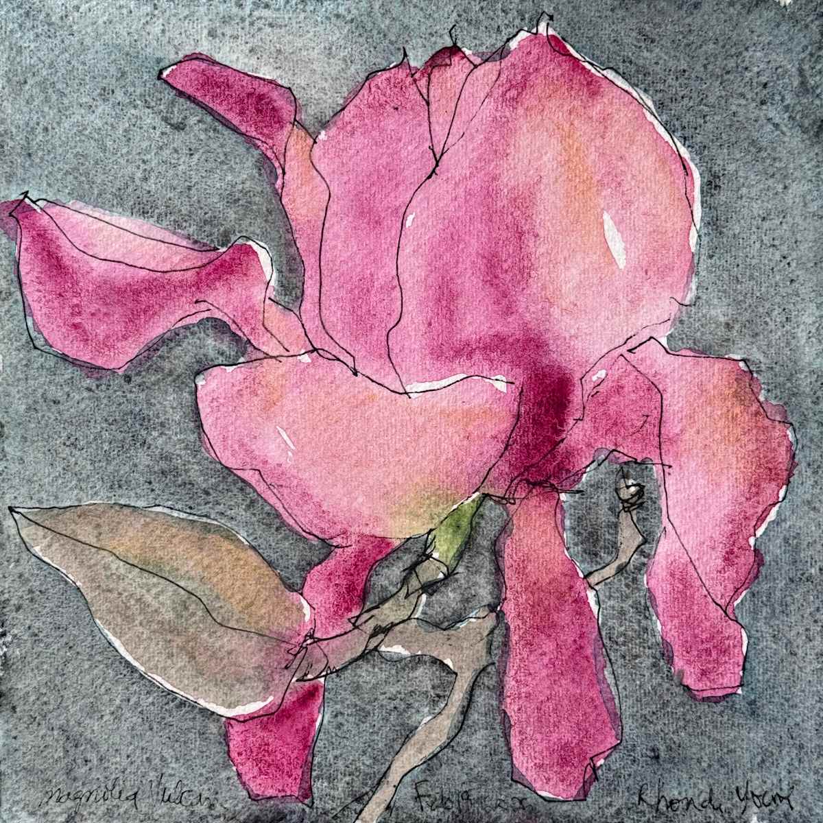 Vulcan Magnolia, San Francisco, February 18,  2025 by Rhonda Young, Image 1.