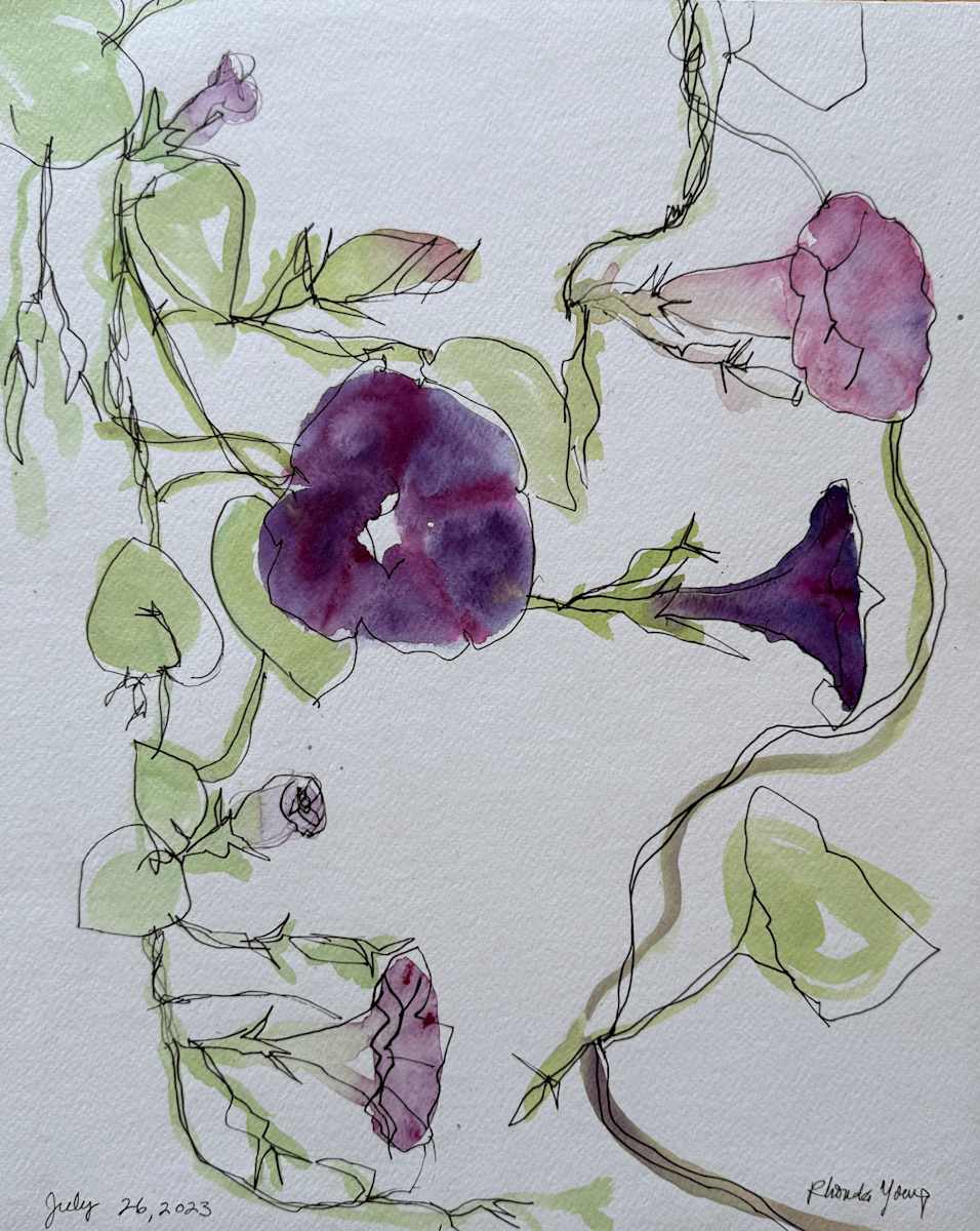 Morning Glory, July 26, 2023 by Rhonda Young, Image 3.
