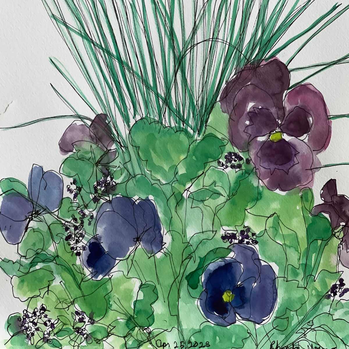 Pansy Pot, April 25, 2023 by Rhonda Young, Image 1.