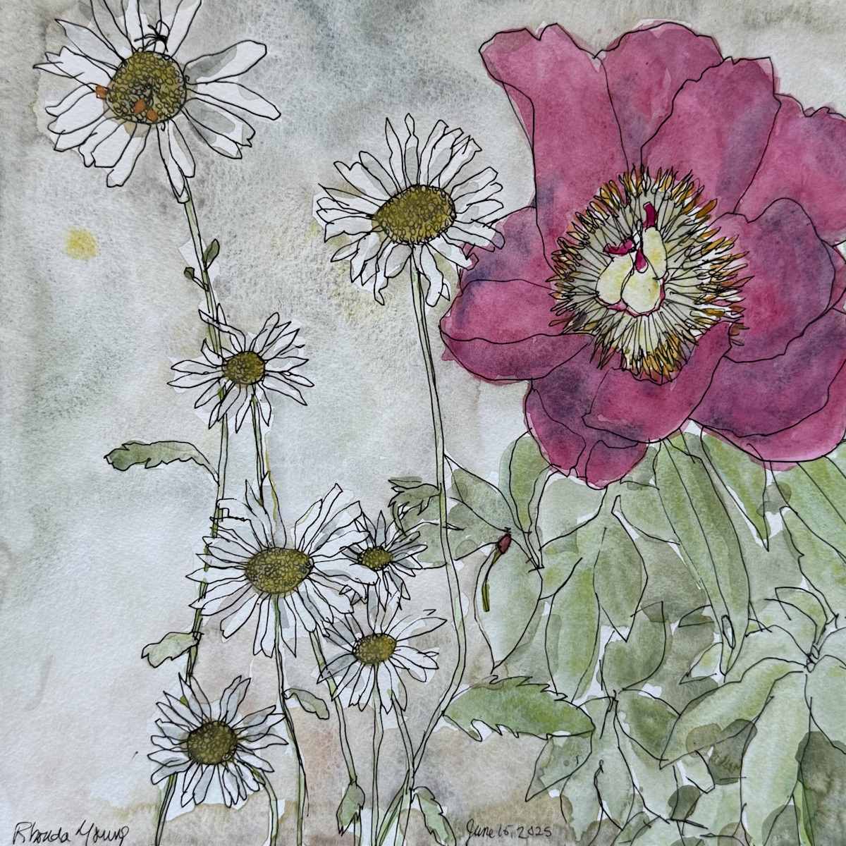 Peony and Daisies, June 15, 2025 by Rhonda Young, Image 7.