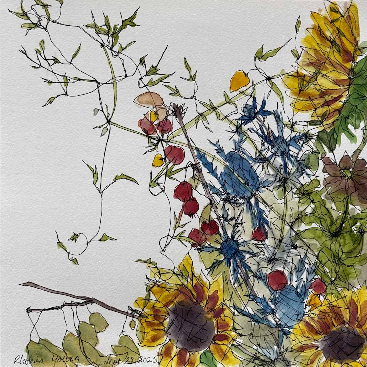 Wild and Cultivated, September 28, 2025 by Rhonda Young, Image 1.