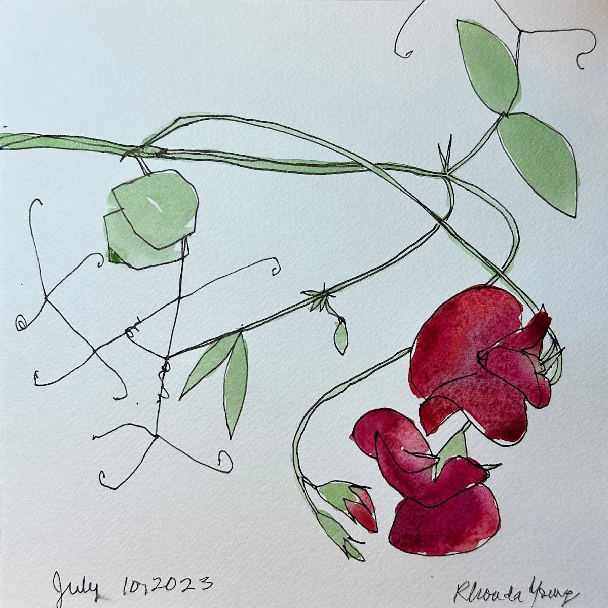 Red Sweet Peas, July 10 ,2023 by Rhonda Young, Image 4.