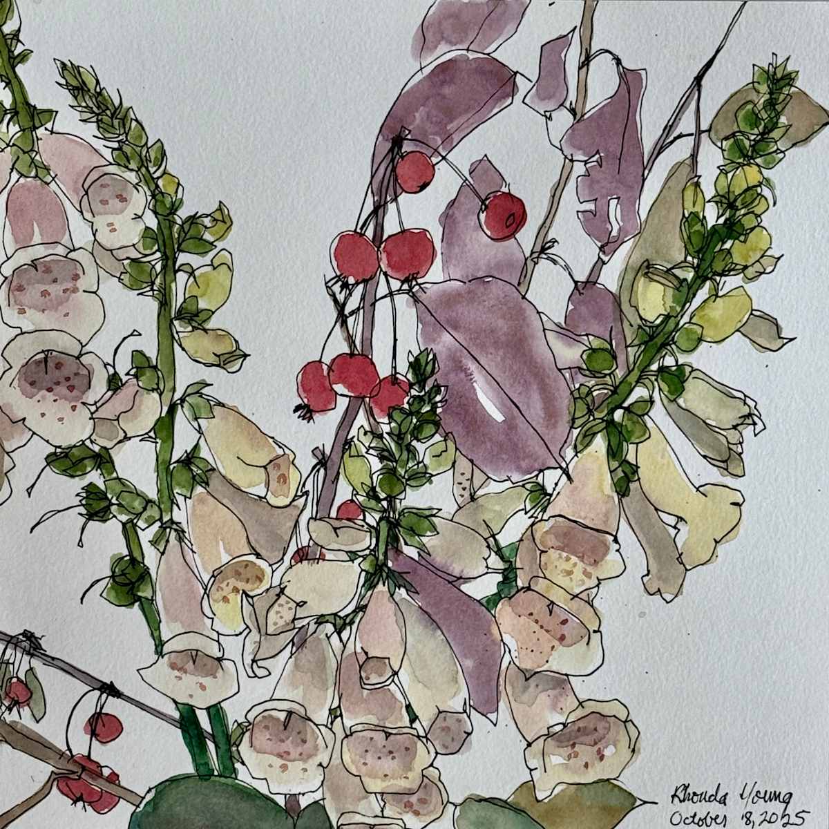 The Last Foxgloves, October 8, 2025 by Rhonda Young, Image 4.