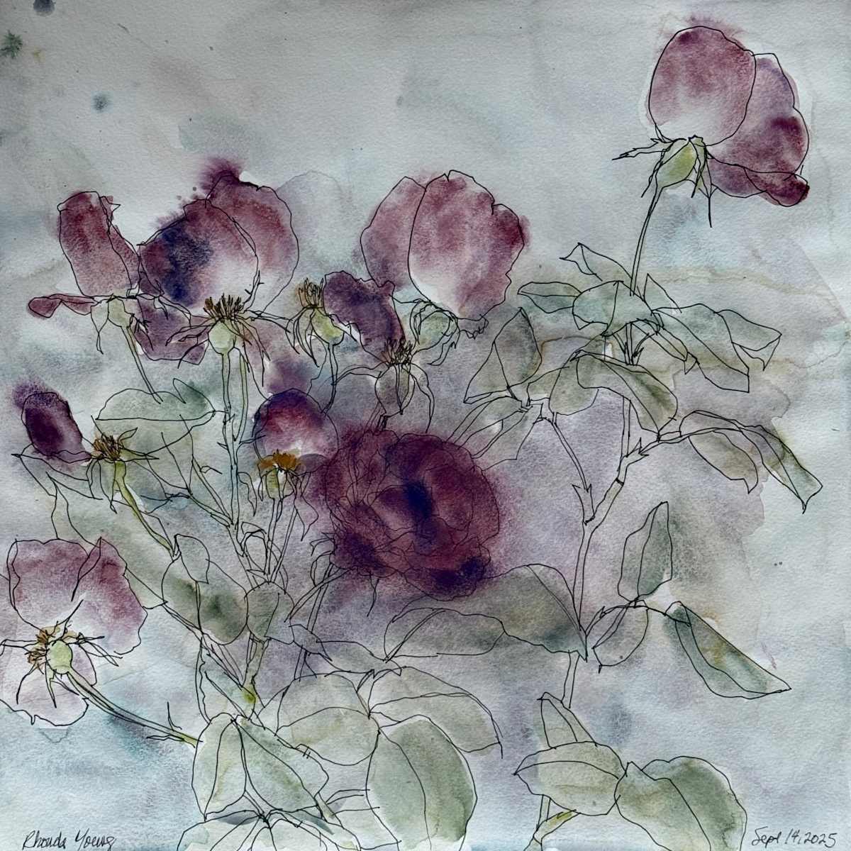 Moody Roses, September 14, 2025 by Rhonda Young, Image 6.
