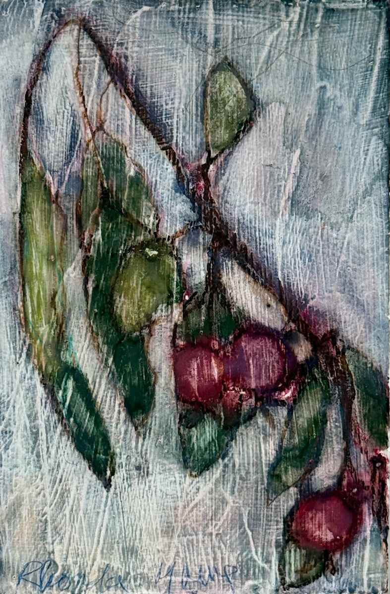 Evans Cherry, September 20, 2025 by Rhonda Young 