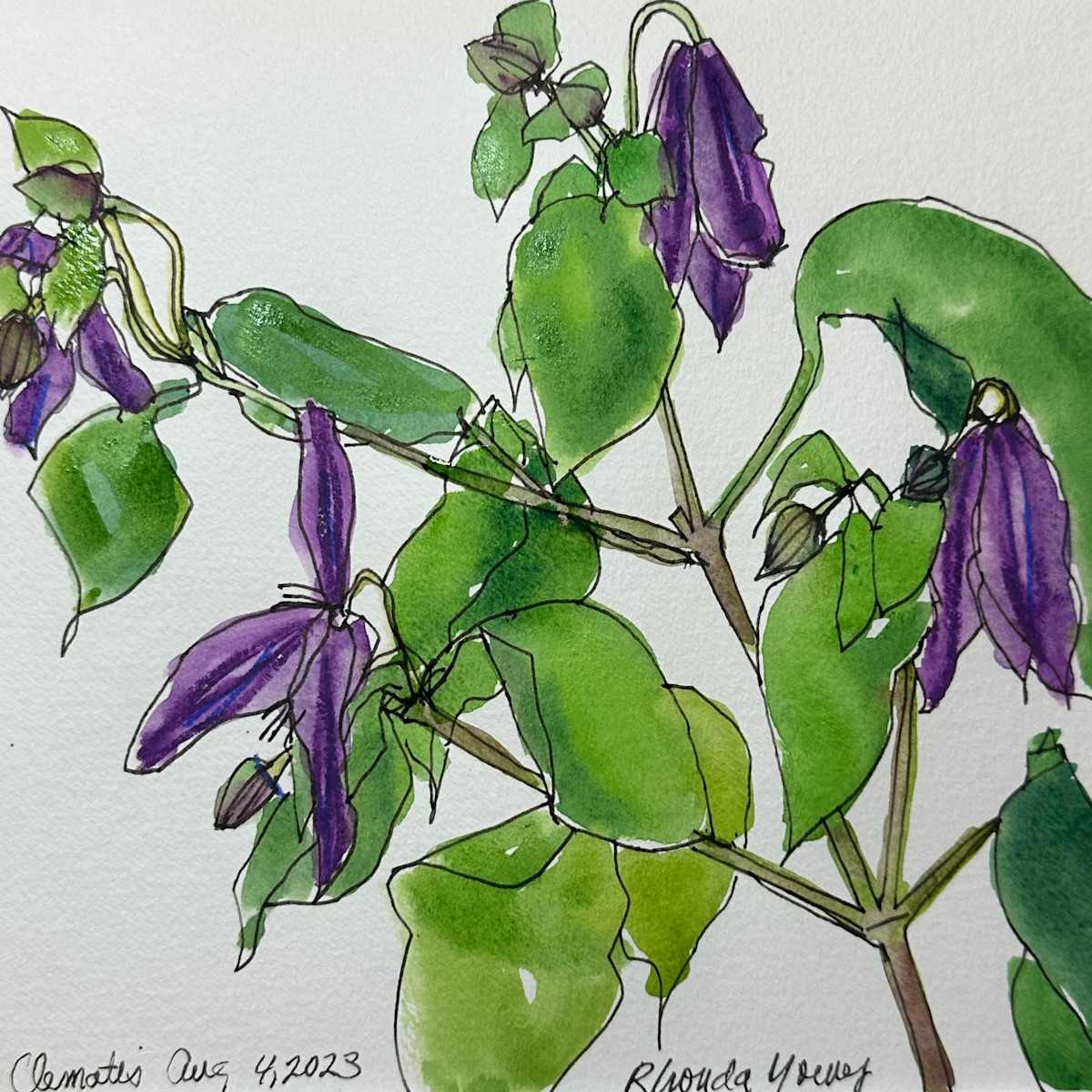 Purple Clematis by Rhonda Young, Image 1.