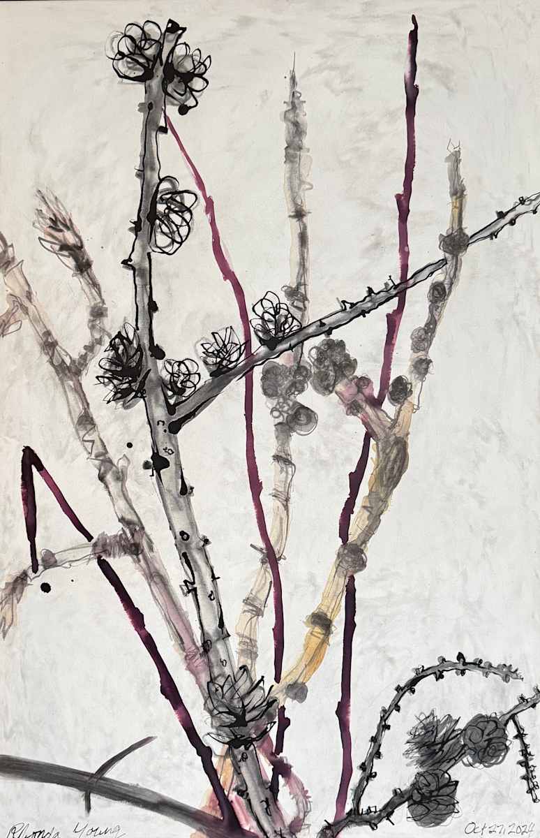 Winter Branches, October 27, 2024 by Rhonda Young, Image 4.