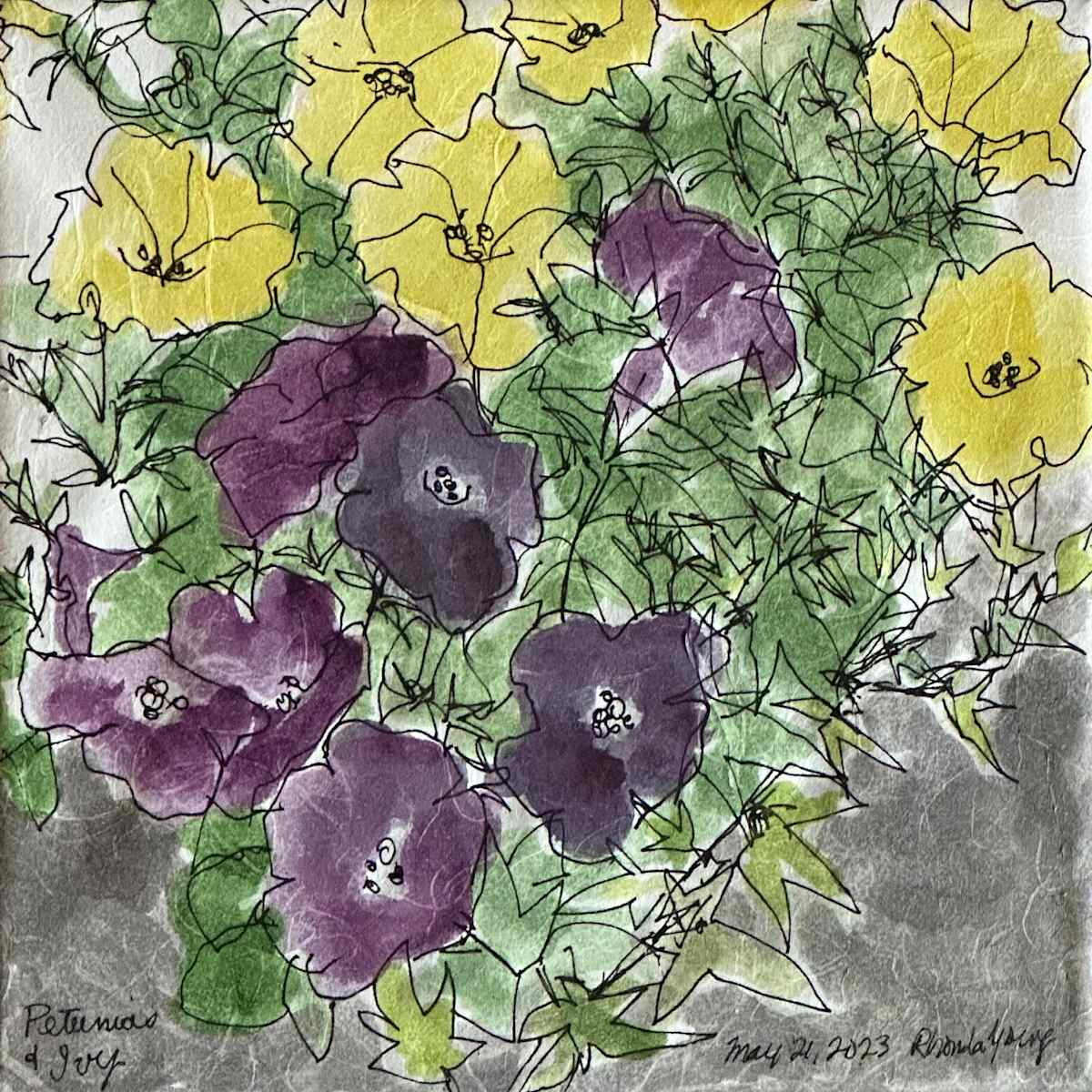 Petunias and Ivy, May 21, 2023 by Rhonda Young, Image 2.