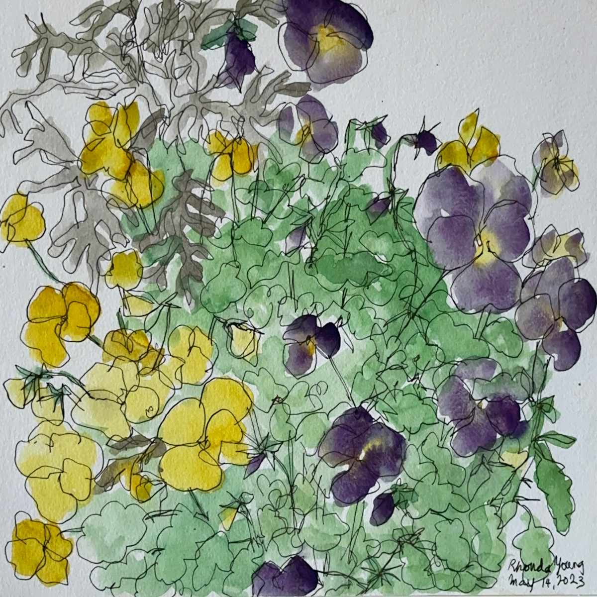 Pansy Pot, May 14, 2023 by Rhonda Young, Image 6.