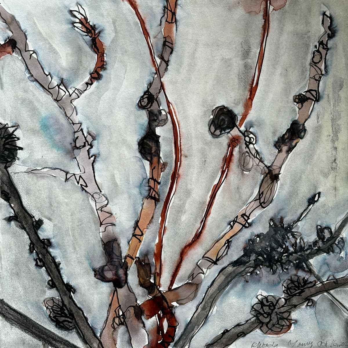 Fall Branches, October 16, 2024 by Rhonda Young, Image 2.