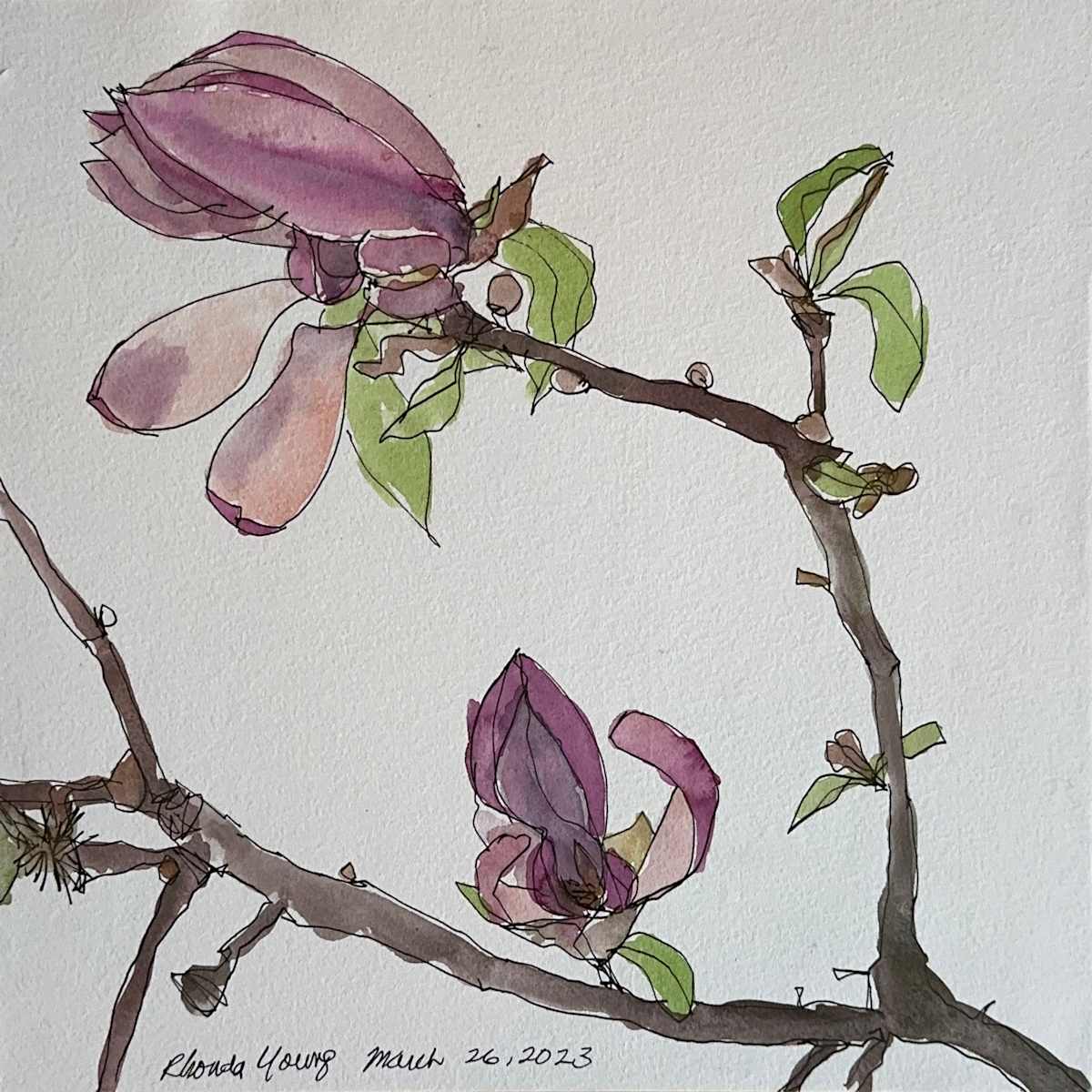 Magnolia Branch, March 26, 2023 by Rhonda Young, Image 6.