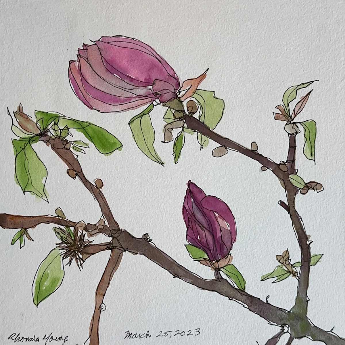Magnolia Branch, March 25, 2023 by Rhonda Young, Image 7.