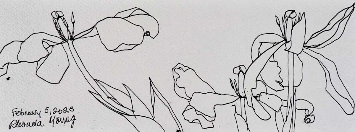 Tulips, February 5, 2023 by Rhonda Young, Image 1.