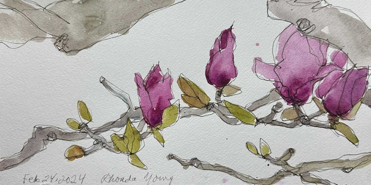 Magnolia Branch, Golden Gate Park, February 24, 2024 by Rhonda Young, Image 1.