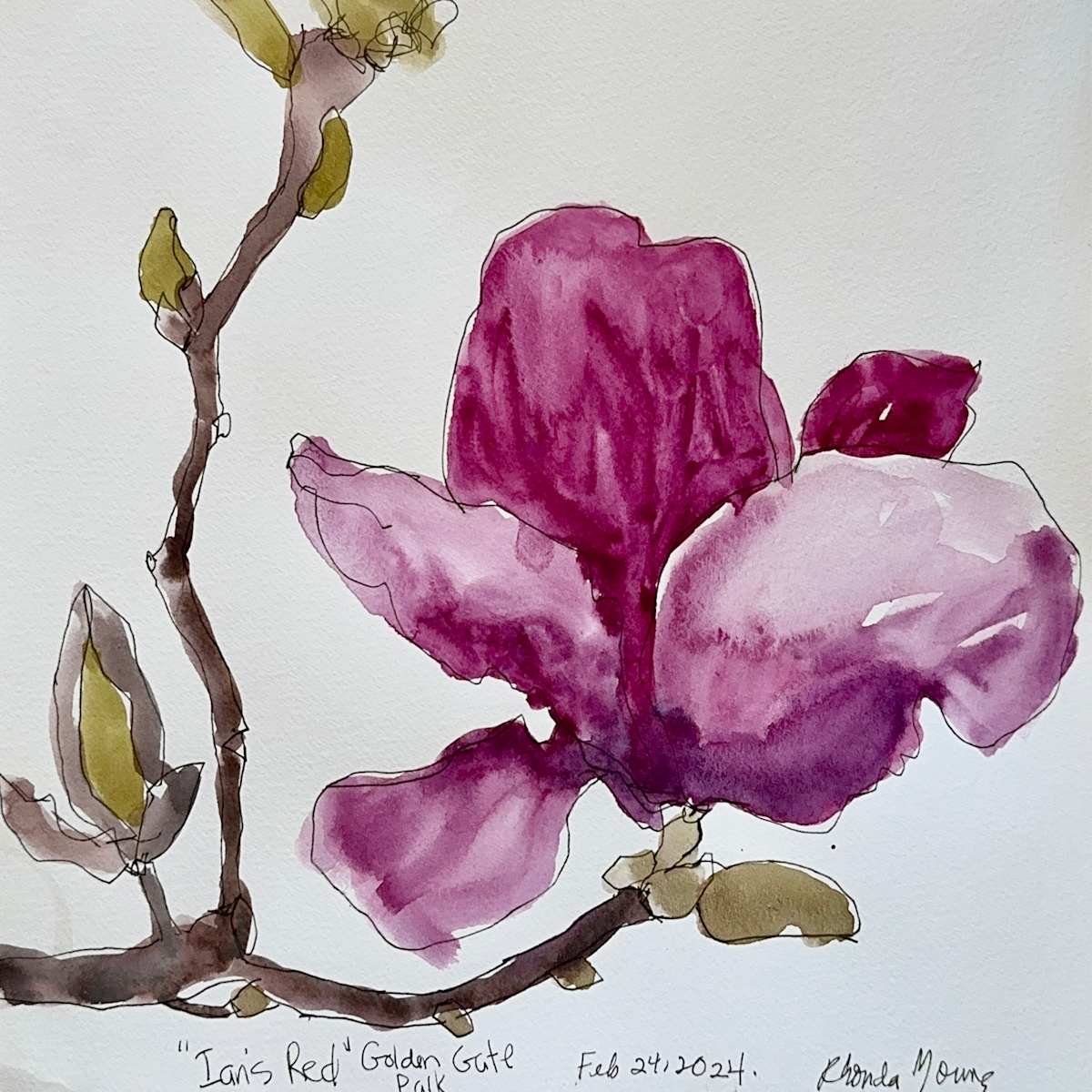 Ian's Red, Golden Gate Park San Francisco, February 24, 2024 by Rhonda Young, Image 1.