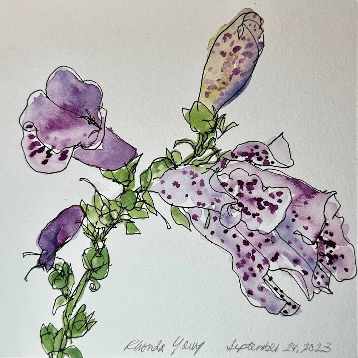 Foxgloves #1, September 24, 2023 by Rhonda Young, Image 13.
