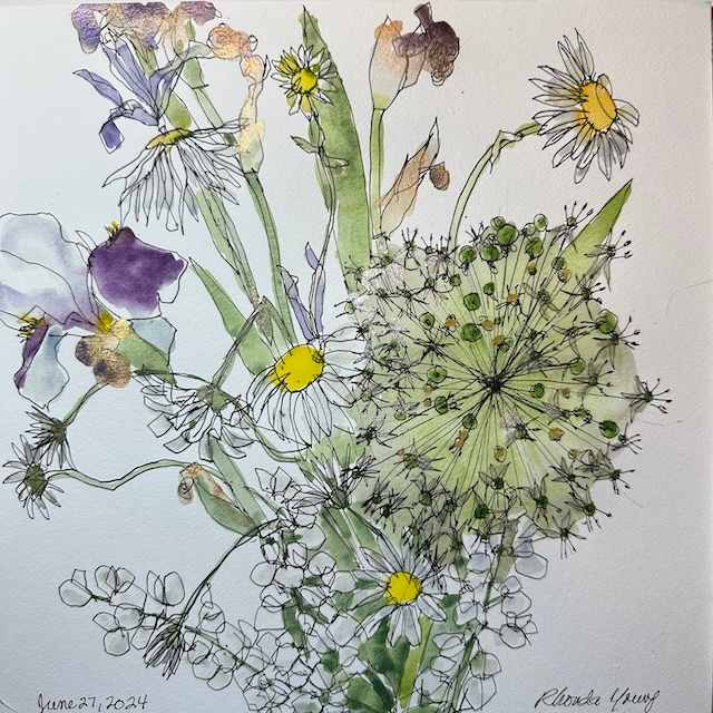 Allium, Irises and Daisies, June 27, 2024 by Rhonda Young, Image 6.