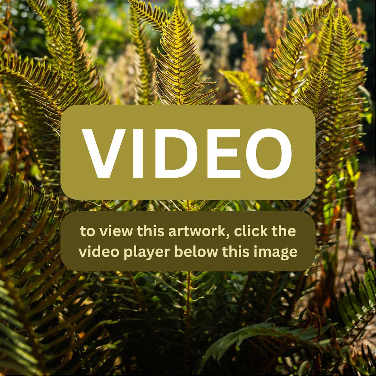 Wisdom of the Elders Media Package by Tallon Jakson 