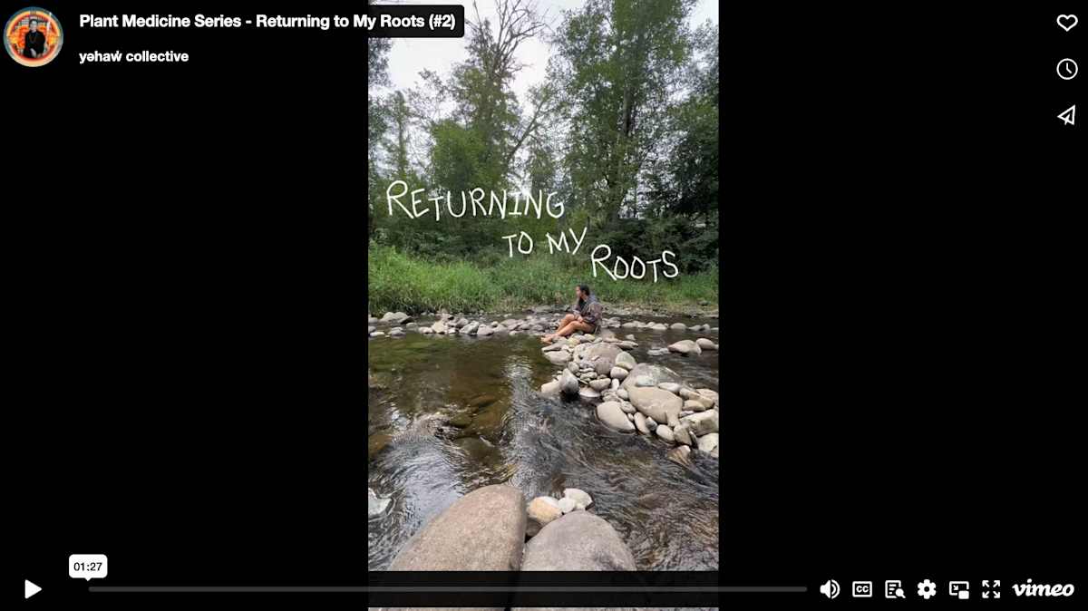Plant Medicine Series - Returning to My Roots (#2) by Shyanne Yellowbird  Image: To view this video artwork, click the embedded file below this image, or go to this link: https://vimeo.com/1050128831