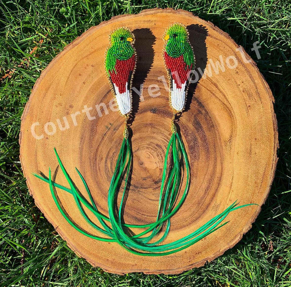 Quetzals by Courtney YellowWolf Graham 