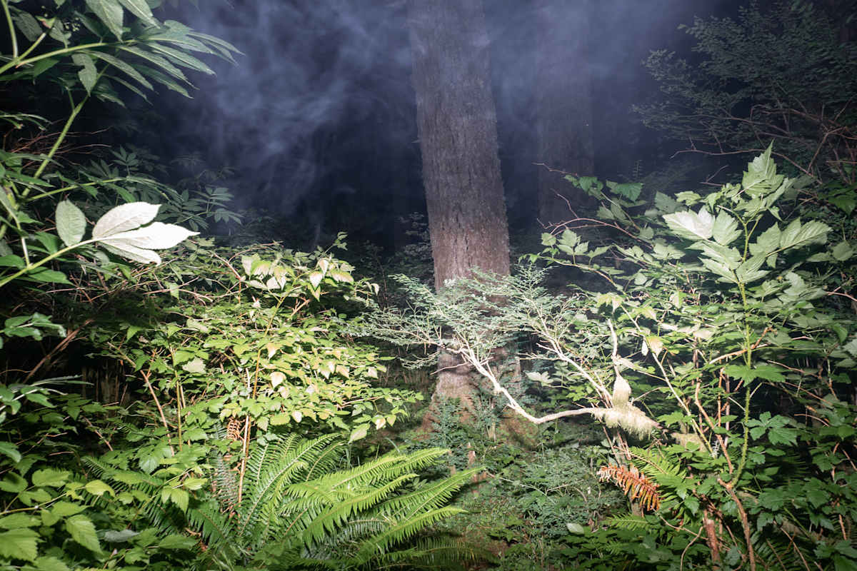 Termination (From the series Broken Round Dance) by Matthew Earl Williams 