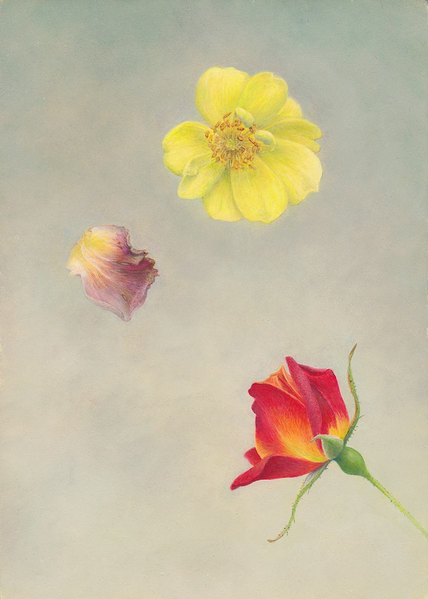 A Rose is a Rose is a Rose by Kelly Leahy Radding 