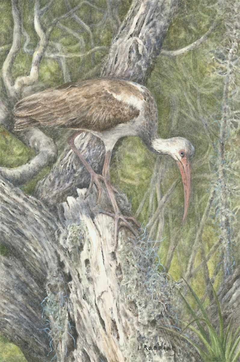 A Step in Time by Kelly Leahy Radding, Image 20.