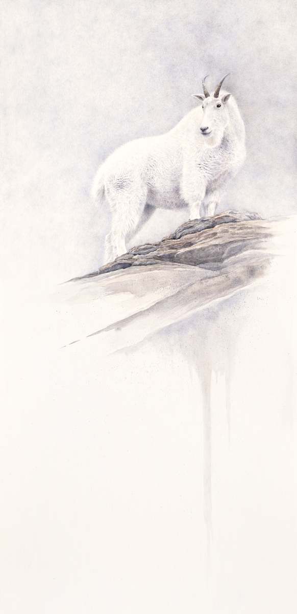 Balanced on the Edge by Kelly Leahy Radding 