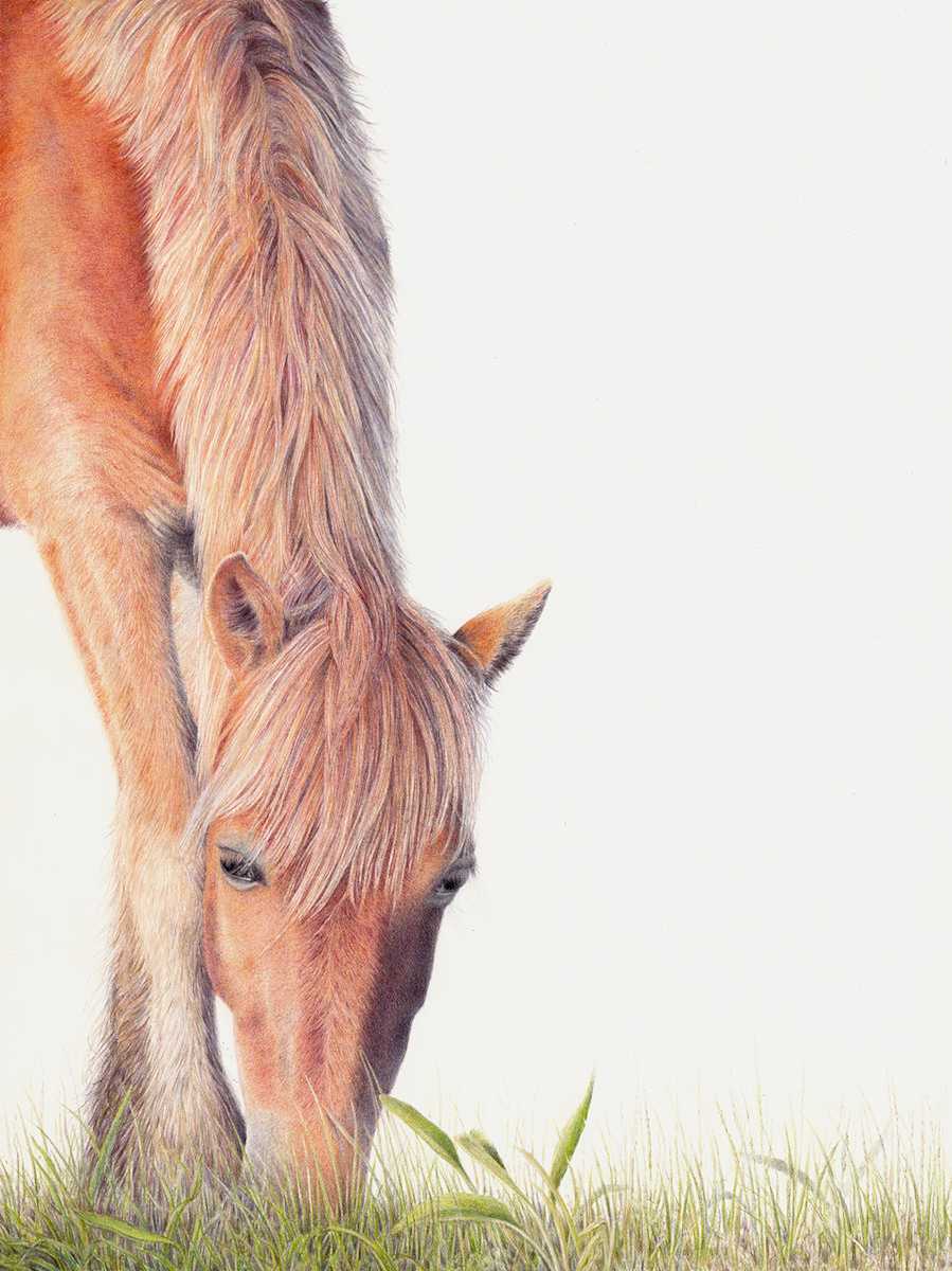 Chincoteague Sunset Reds by Kelly Leahy Radding 