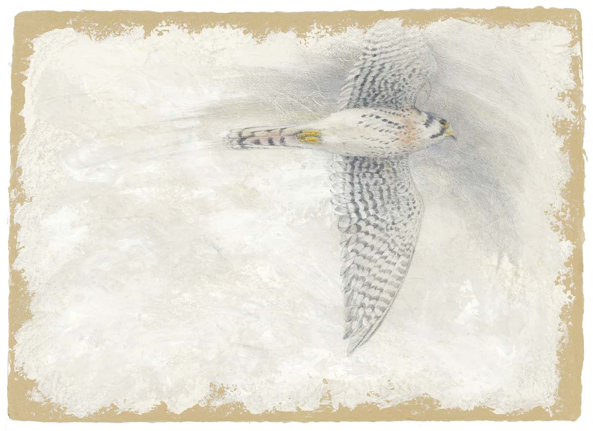 Quicksilver by Kelly Leahy Radding, Image 17.