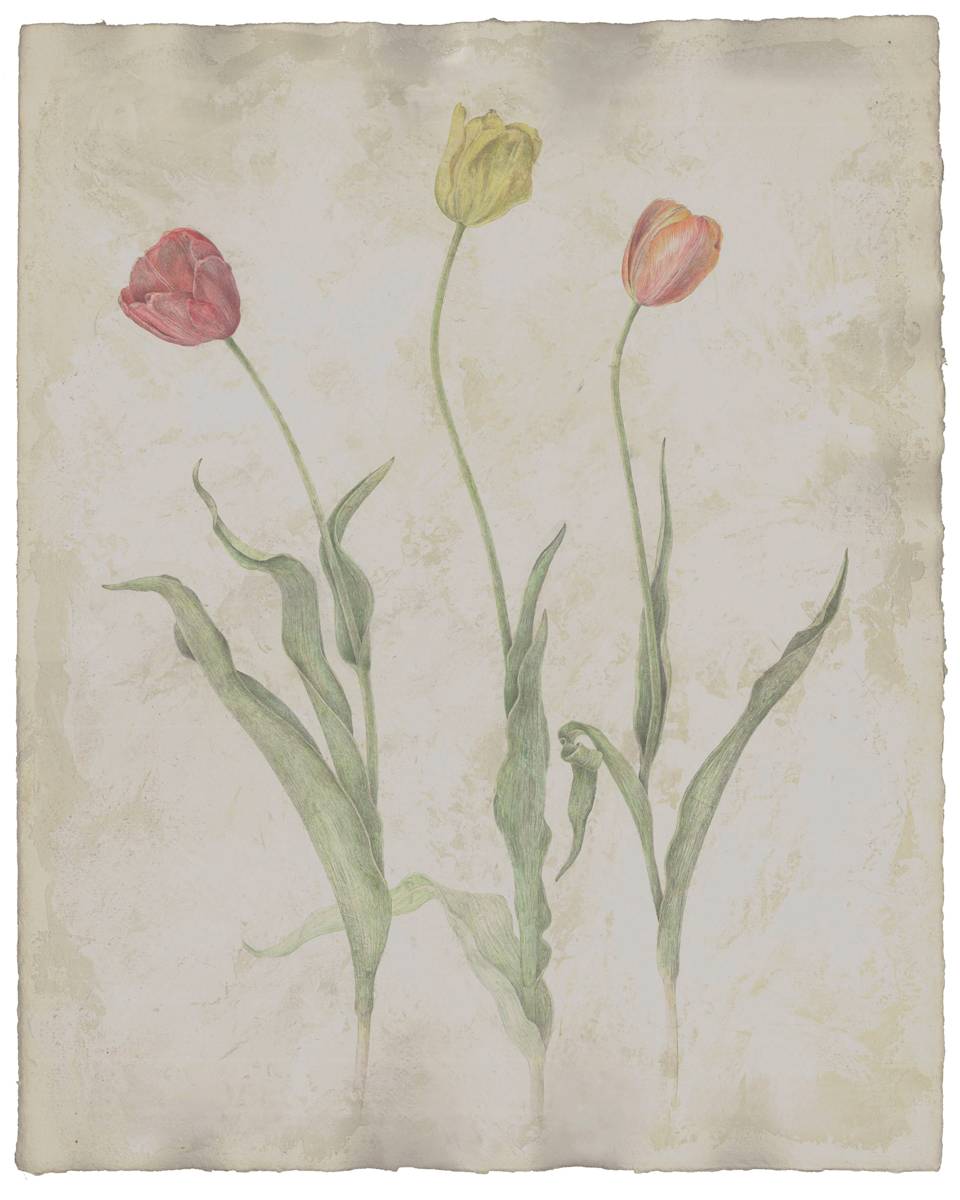 Trio by Kelly Leahy Radding, Image 8.