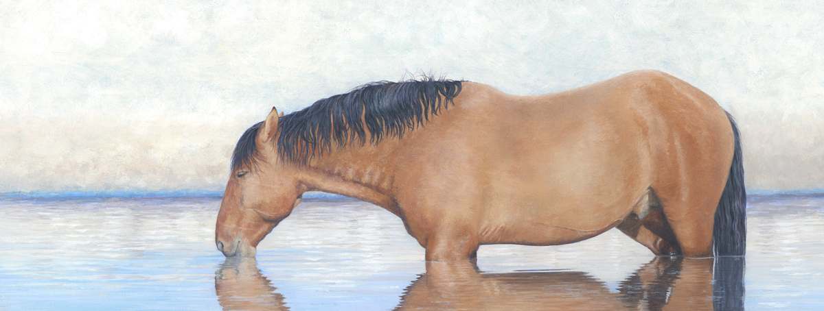 The Reflecting Pool by Kelly Leahy Radding, Image 1.
