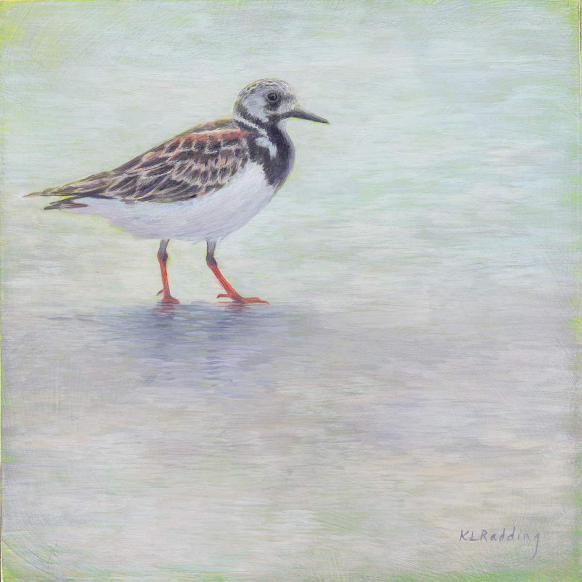 Shorebird Seasons - Spring by Kelly Leahy Radding, Image 9.