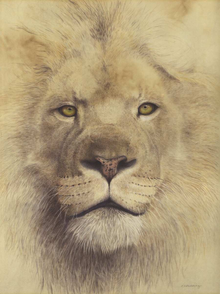 I am STILL King by Kelly Leahy Radding 