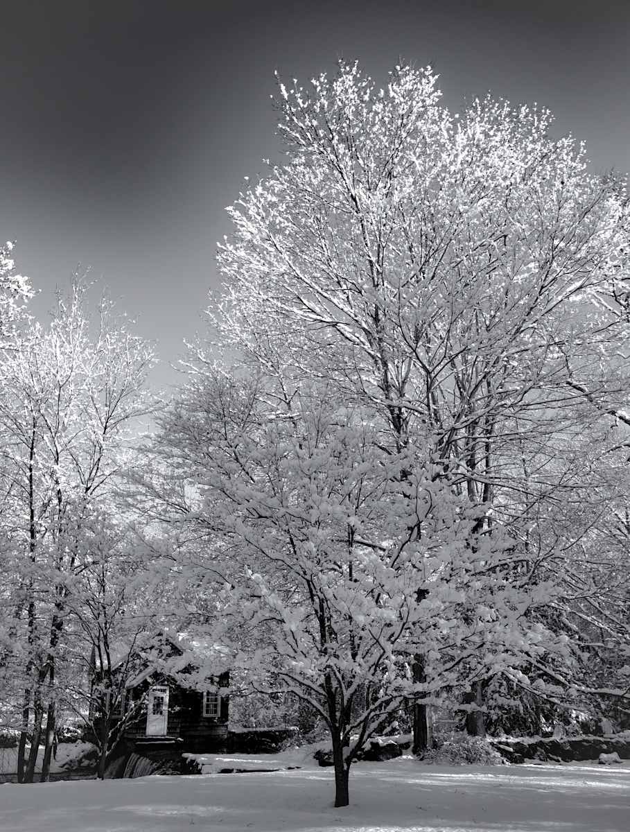 Crystals in the Light by Indy Beck 
