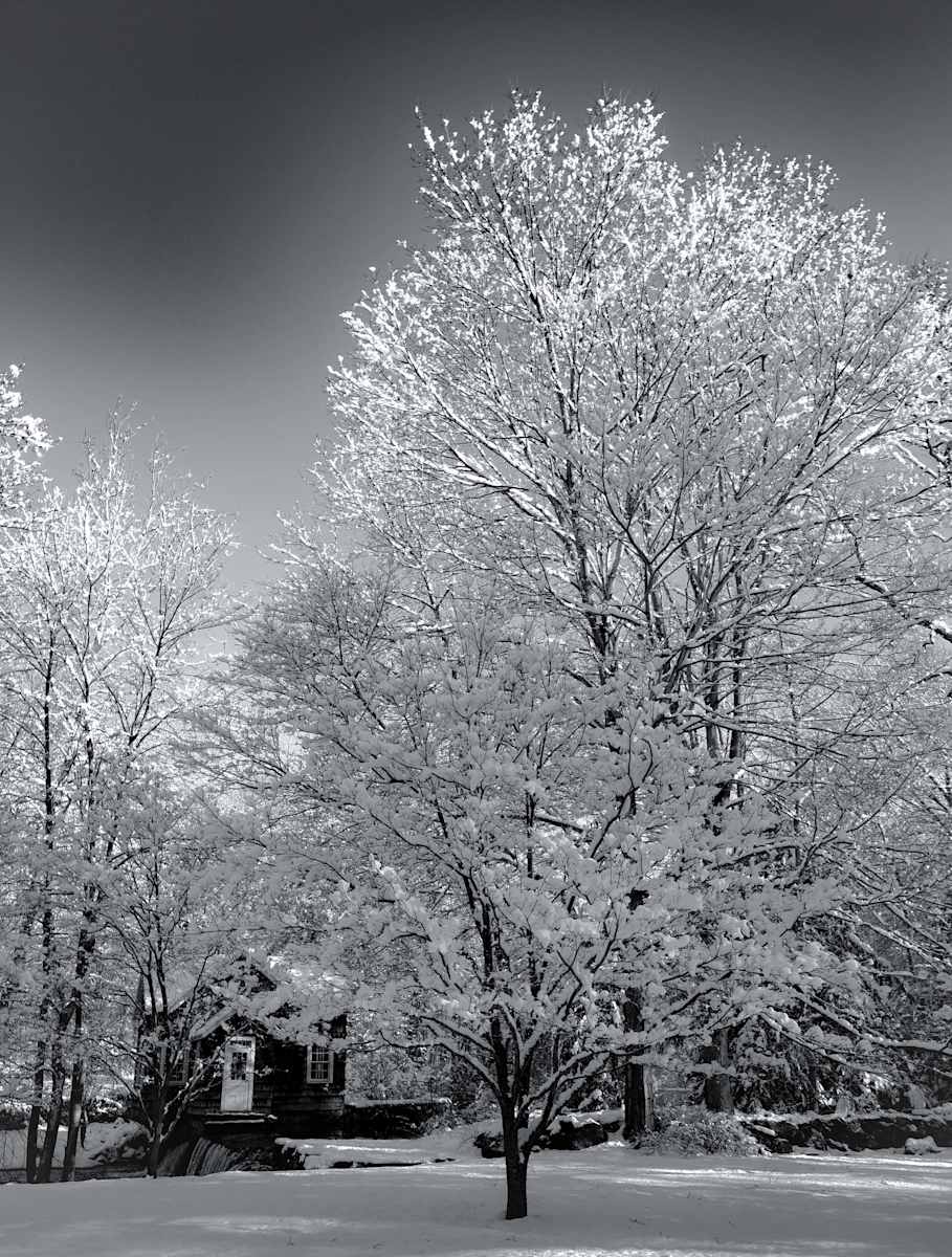 Crystals in the Light by Indy Beck, Image 1.